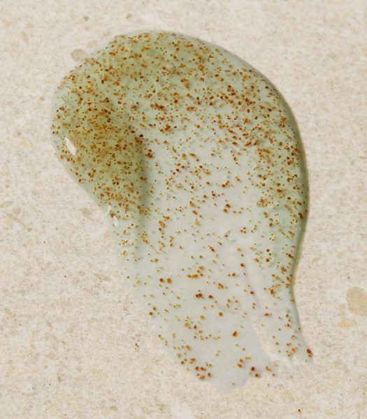Seaweed Oil-Control Exfoliator