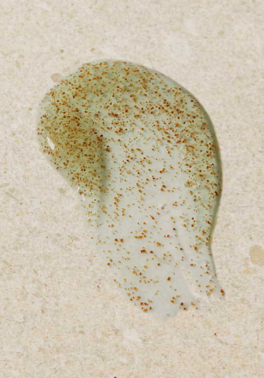 Seaweed Oil-Control Exfoliator