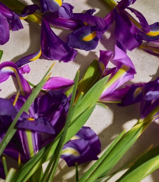 Full Iris Eau de Parfum